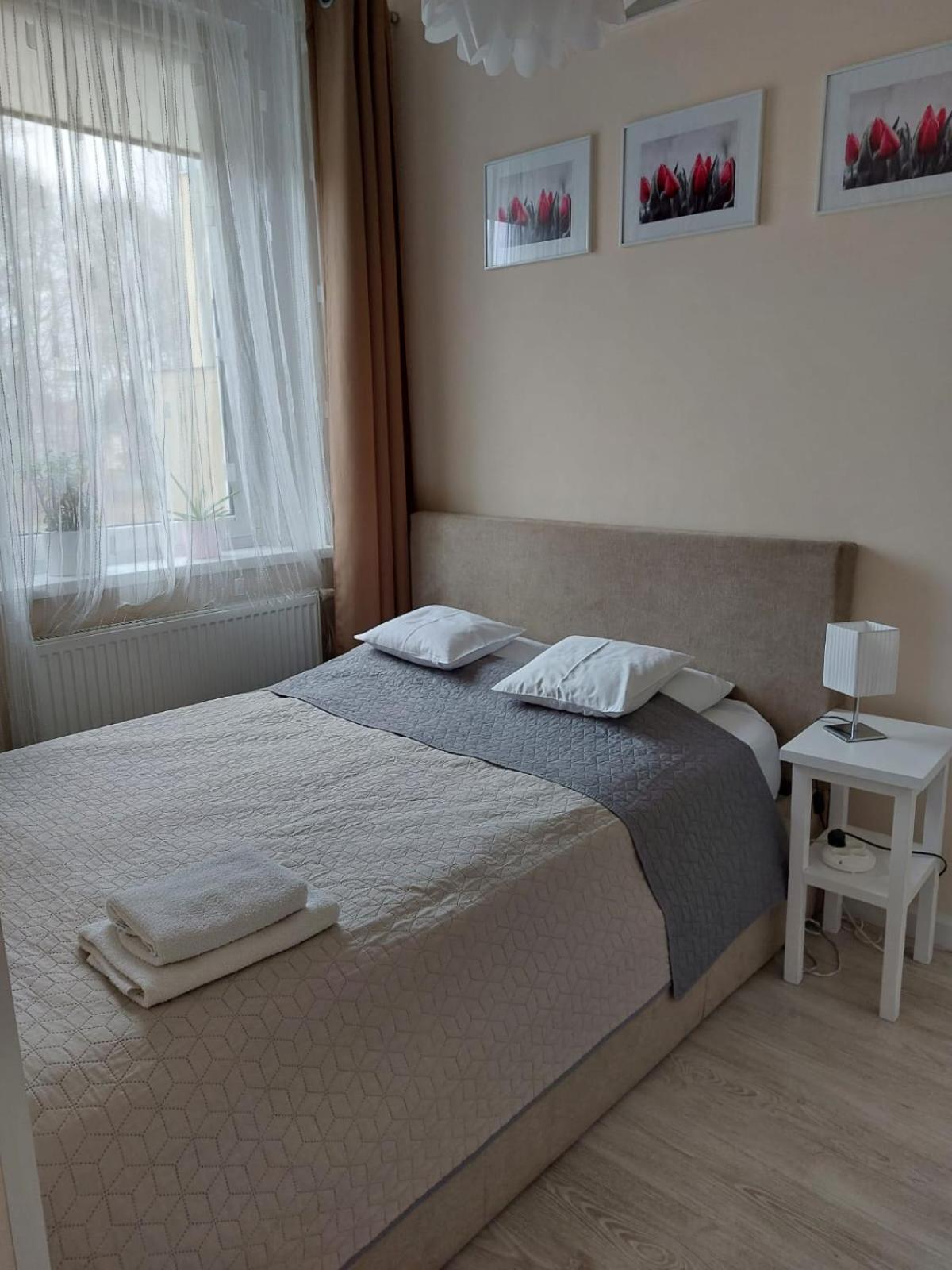 Come&Stay Zielona Gora エクステリア 写真